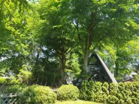 Hexenhaus im Harz