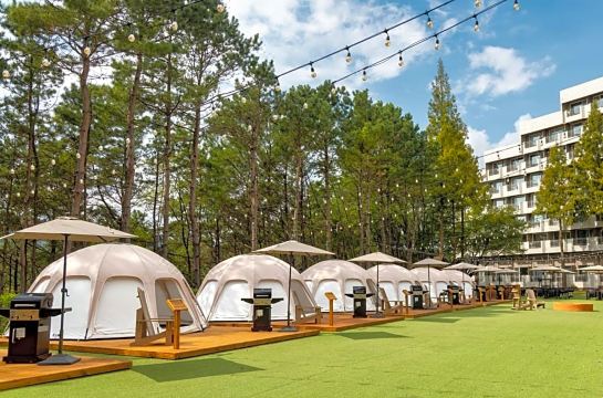 켄싱턴 리조트 경주