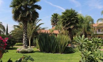 Hotel Palmas Teotihuacán