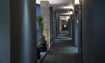 Hotel Zocalo Central