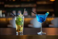 Golden Tulip Dieppe - bar