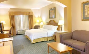 Holiday Inn Express & Suites Alice