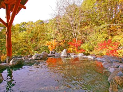 スパ・大浴場 奥利根温泉 ホテルサンバードの写真