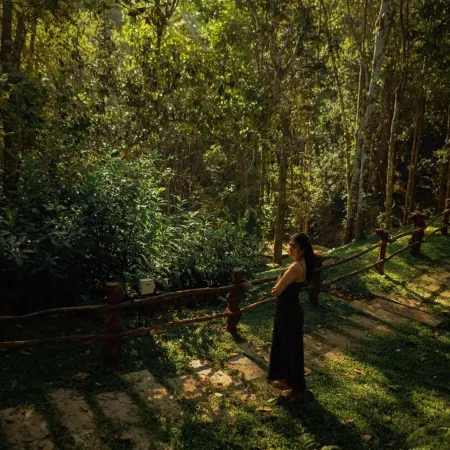 Chembarathi Wayanad Boutique Resort