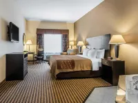 Comfort Inn & Suites Near Bethel College
