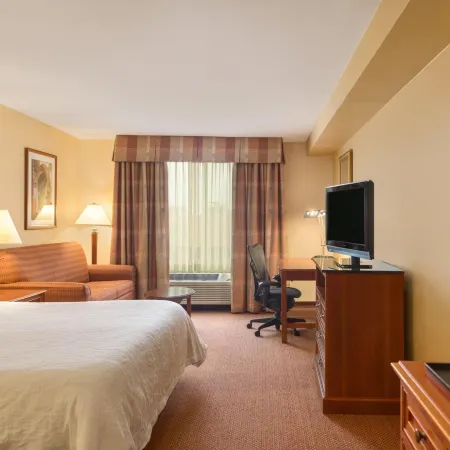Hilton Garden Inn McAllen Airport