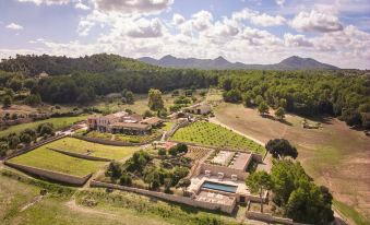Finca Sestelrica