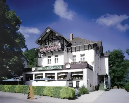 Hotel Tannenhof Hotels in Bad Harzburg