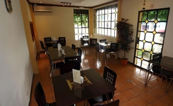 Hotel Villa Florencia Zona Rosa