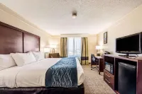 Comfort Inn & Suites Heath - Newark South 뉴어크 호텔