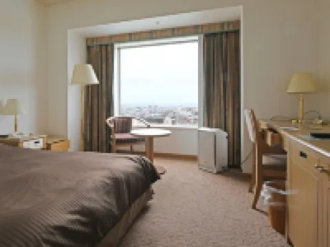 新王寺大酒店 苫小牧市酒店