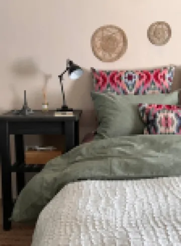 Mosquito Guest House 2