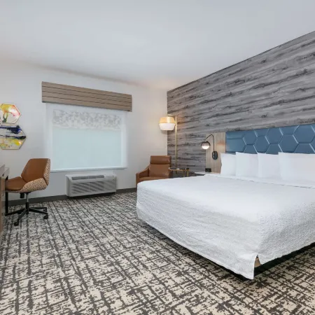 Hampton Inn & Suites by Hilton Shenandoah the Woodlands