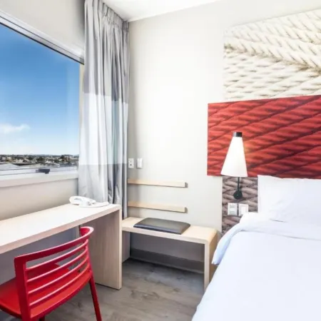 Ibis Copiapo