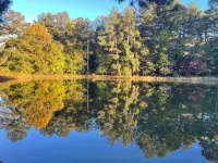 Waterside Cabin Great Fishing, 4 Beds, 2 Kayaks Gated WI-FI Parking Washer Dryer