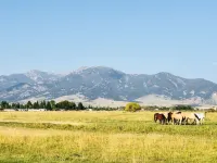 Beautiful Apartment Close To Downtown With Mountain View!