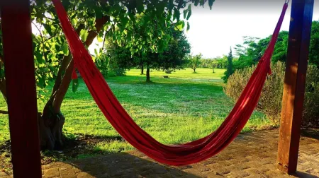 Apartment Torre. Beautiful garden, AC, 2 bedrooms 1 bathroom, near the sea. Отели рядом с достопримечательностью «Podere Sapaio»