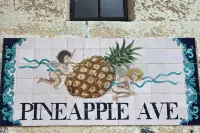 Sleeping Studio, Secure & Cute Downtown between Siesta & Lido Beaches