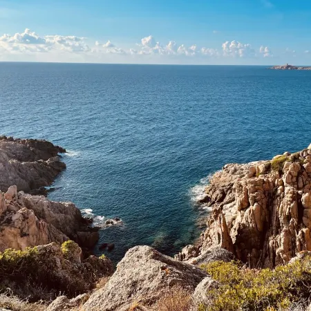 Sea view. Luxury residence in a flowered park. 3 STARS