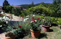 Beautiful stone house with garden and private pool.