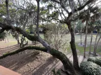 New rental overlooking Plantation Course 9th tee box. 1500 sq feet, smoke free.