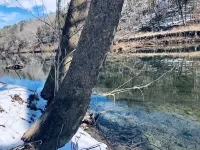 River Home& 15 acres with your own beach next to Hodgson Mill. Hotels in Ozark County