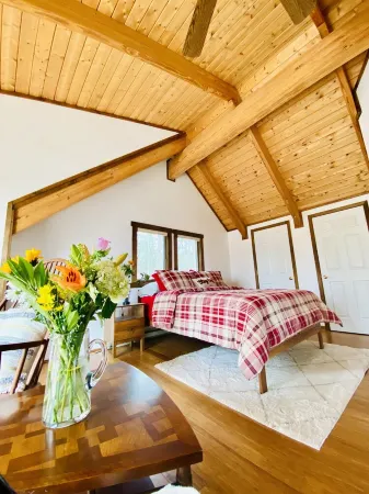 Cozy Creekview Cabin - Berkeley Springs, WV