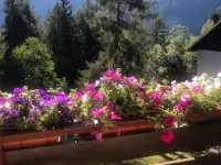 Sasso Rosso Apartment with Alps View Hotel a Folgarida