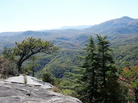 Cozy, Fully Furnished Mountain Retreat – Perfect for Nature Lovers! Отели в г. Фасги Форест