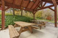 Cozy Hocking Hills Cabin on 20 private acres! Only 7 miles from State Park!