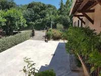 COLLOBRIERES - MAS IN THE MIDDLE VINES