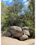 Down Horn Ranch-Raylee cabin