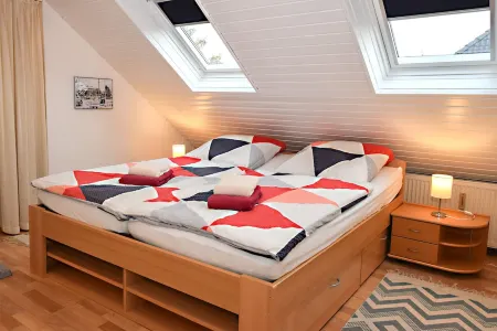 Vacation with dog, and without dog