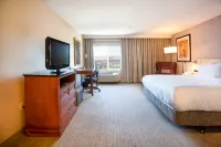 Hilton Garden Inn Seattle/Renton Hotels in Renton