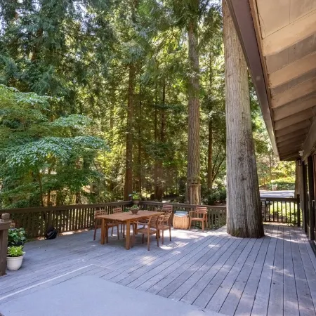 Bridle Trails Treehouse
