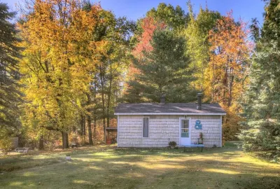 Two Trees: Lake Huron Cottage on the Sunrise Side; dog friendly Hotel dekat Harrisville State Park