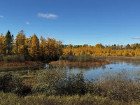 Cozy vintage cabin on a private lake in the Northwoods.