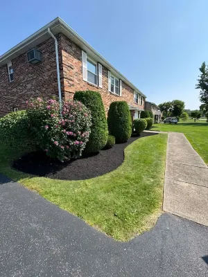 Welcome to Harvest Haven's Sunflower Serenity