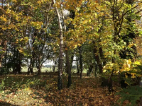 For a relaxing vacation under thatch in a quiet, central location in Wieck