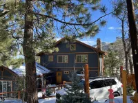 Fabulous Mountain Modern Cabin Close to Bear Resort & National Forest Sleeps 8