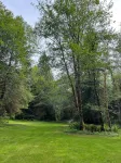 The Forest Retreat