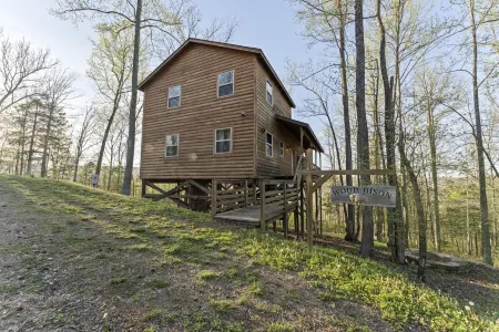 Pet-Friendly Peaceful Cabin Near River w/ Fire Pit + Hot Tub Sleeps 10