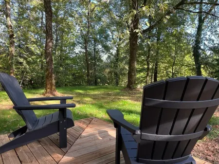 The little house on the edge of the woods