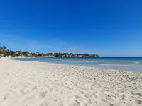 Villa Flavia, Mediterranean charm. Apartment, private pool at100 mt sea