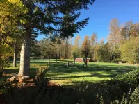 Quiet Country Retreat, 4 Bedroom Rambler on 9 Acres in Rural Edgewood Sleeps 9