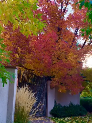 Like HOME but BETTER: near Foothills, pvt.apt. in FAB home YOU'LL LOVE IT!