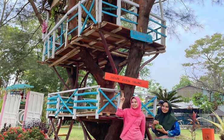 3. Mimiland..