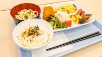 Toyoko Inn Takamatsu Ekimae - 2-Star