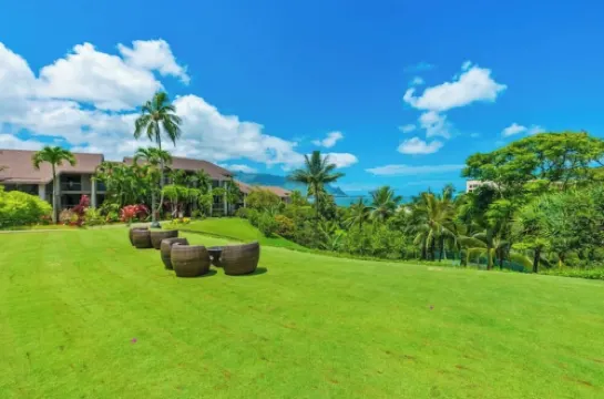 Amazing Views above Beautiful Hanalei Bay