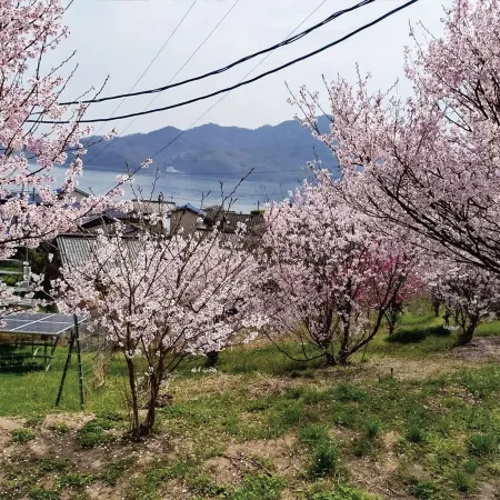 Setouchi Hitotsuru Hanare